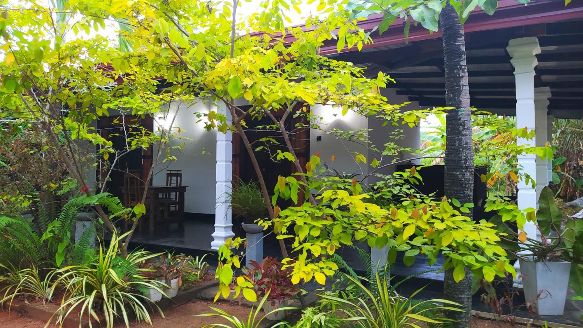 Yashi'S Place Sigiriya Buitenkant foto